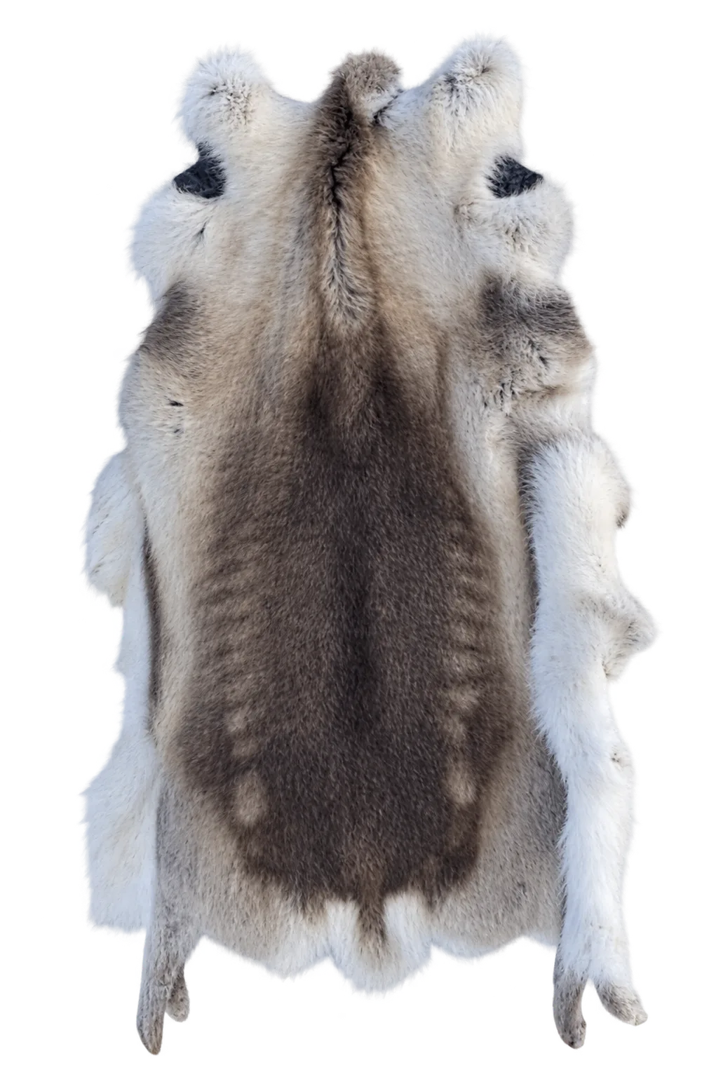 Air-dried reindeer hide